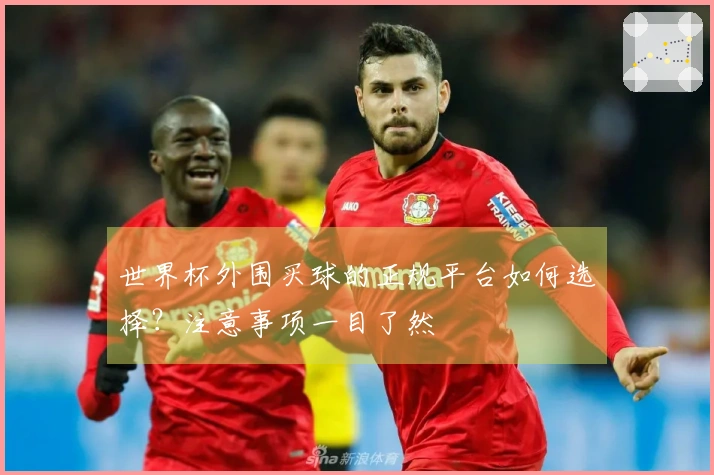 世界杯外围买球的正规平台如何选择？注意事项一目了然