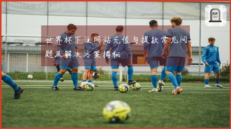 世界杯下注网站充值与提款常见问题及解决方案揭秘