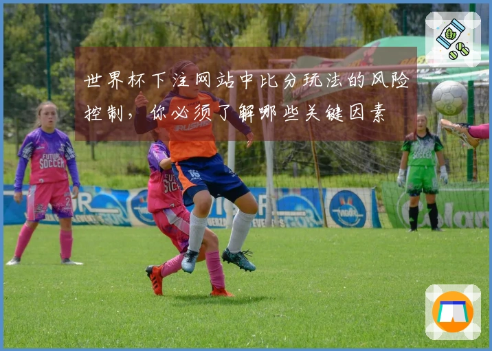 世界杯下注网站中比分玩法的风险控制，你必须了解哪些关键因素