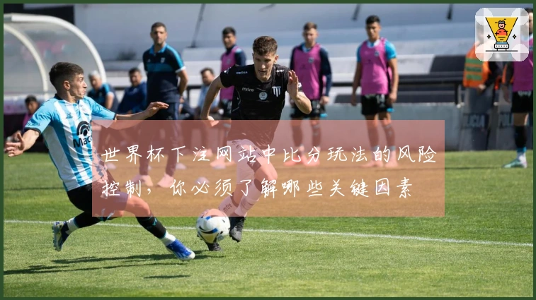 世界杯下注网站中比分玩法的风险控制，你必须了解哪些关键因素