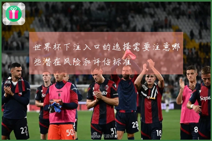 世界杯下注入口的选择需要注意哪些潜在风险和评估标准